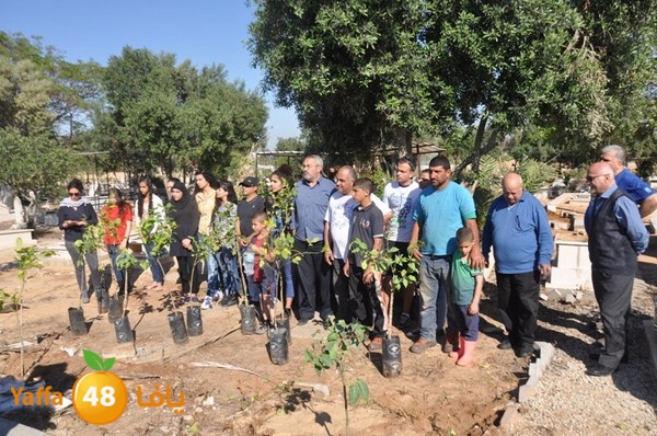 ashjar taso 0328 (5).JPG